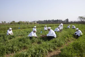 Applied Learning at Vedatya Institute