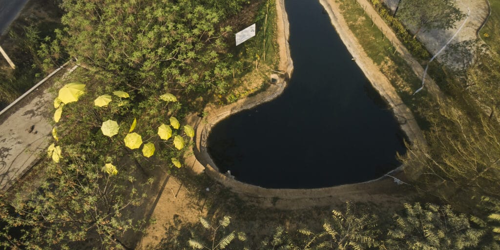 Fish Pond at Vedatya