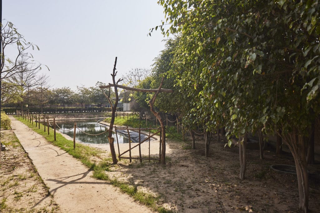 Fish Pond at Vedatya