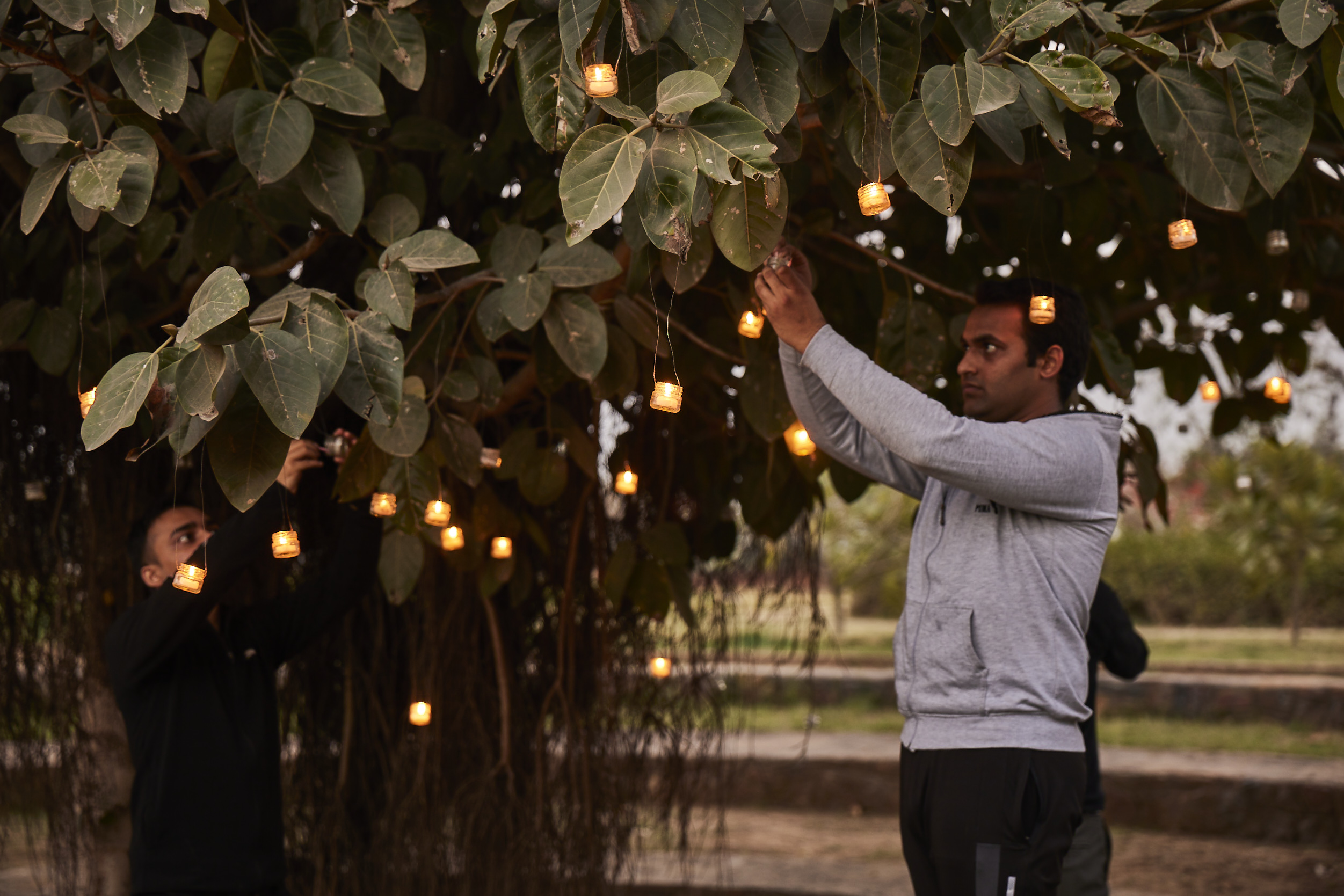 Bodhi Tree With Students